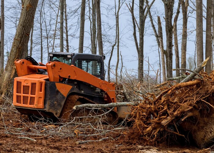 Get Professional Tree Removal And Stump Grinding Services In Pennsylvania